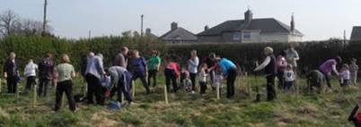 Tree planting