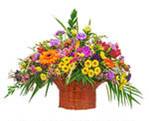 Flower arrangement