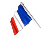 French flag 2