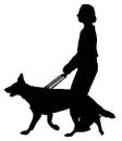 Guide dog